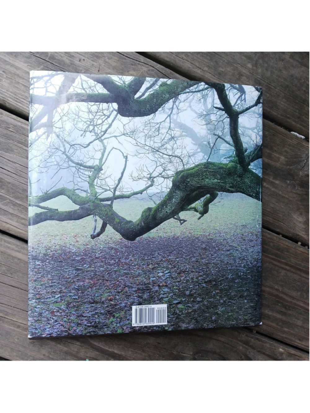 Wood - Andy Goldsworthy | 1996 | Harry N. Abrams - 1st Edition / 1st Printing